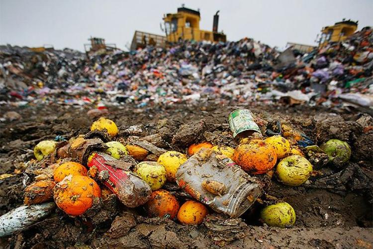 Food Waste in America Environmental Center University of Colorado