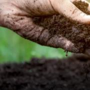 hand digging in soil
