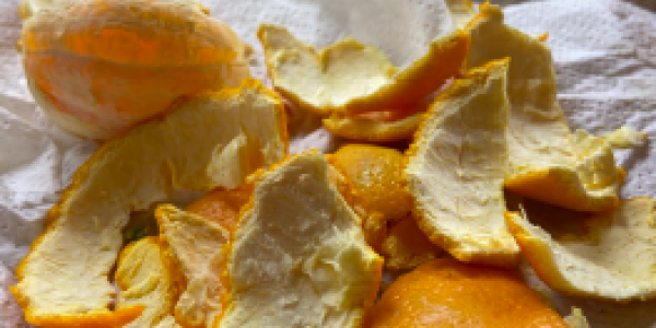 orange peels