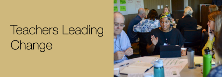 Teachers Leading Change