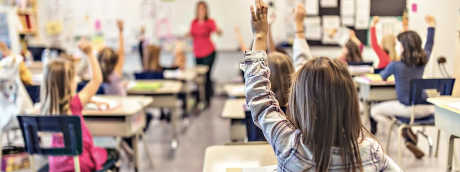 child raising hand in class