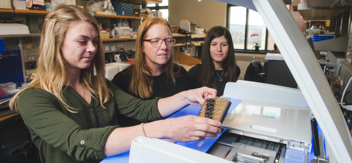 Kristi Anseth and her graduate students working in laboratory