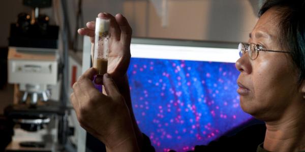 long-haired person with glasses stares intently at sample in test tube