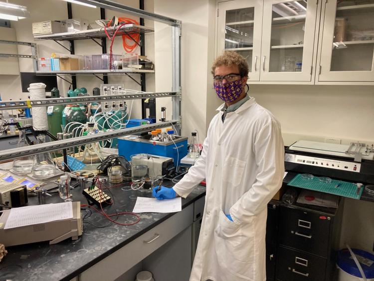 Student working in the lab