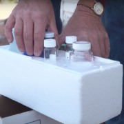 Water samples collected from the communities and stored in a travel container.