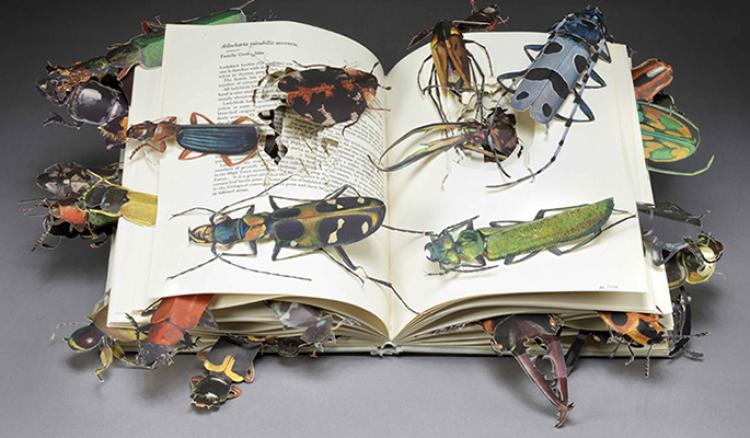 Insects crawling out of a book