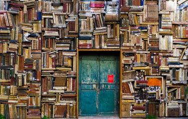 a blue door surrounded by books