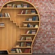Bookcase shaped like a head