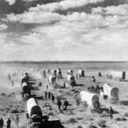 Covered wagons crossing a plain