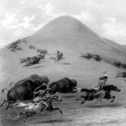 Native Americans on horseback chasing buffalo