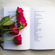 BOOK AND A ROSE