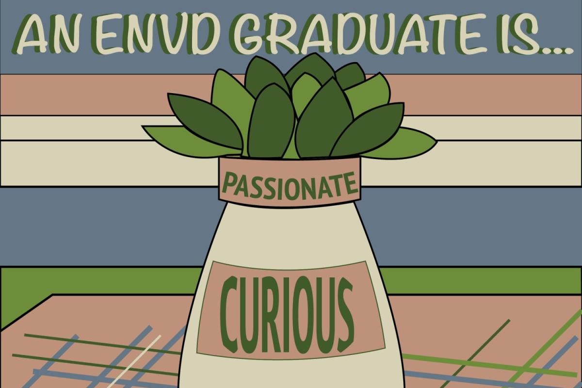 envd grad decription