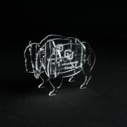 ENVD laser cut acrylic buffalo award