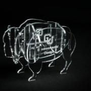 ENVD Acrylic buffalo award