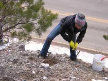roche collecting waste rock samples