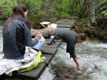 wood and cholas collecting samples