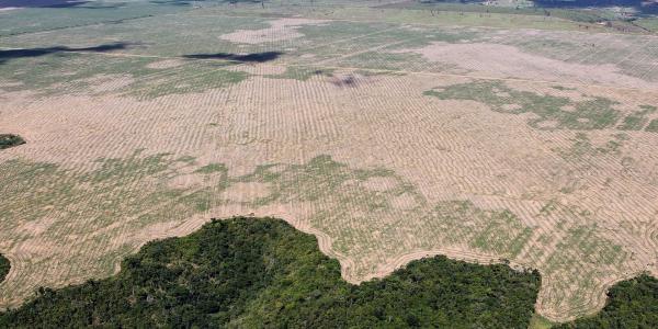Aerial photo of a field and deforestation in Brazil