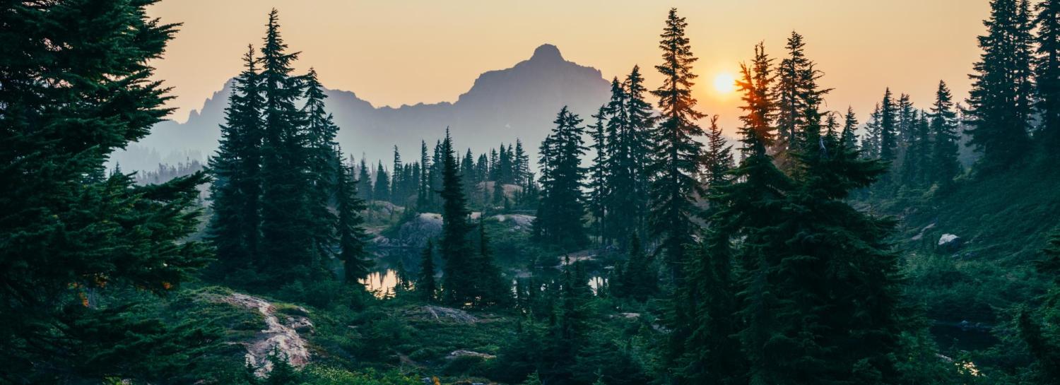 Morning mountain scene with pond and forest