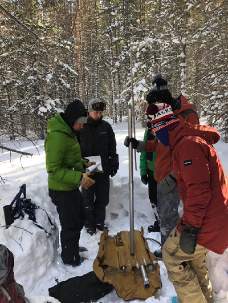 People in snow covered wooded area measuring Depth and Snow Water Equivalent