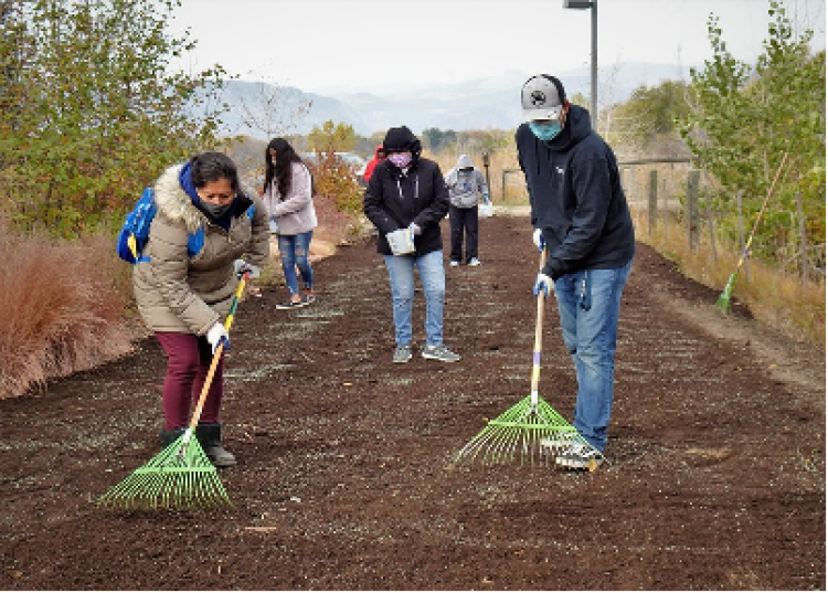 People raking dirt with garden rakes