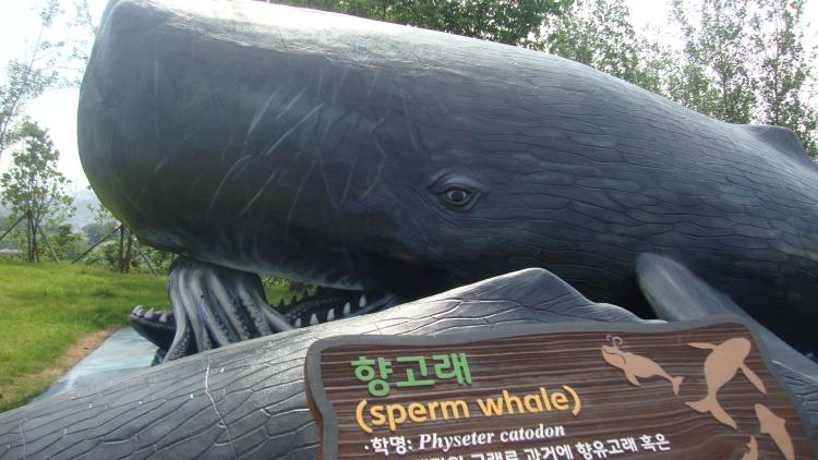 Sperm whale statue