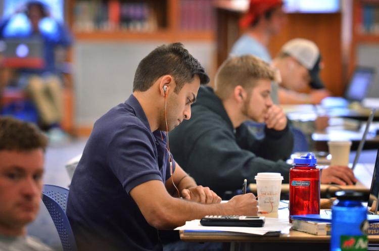 Students studying at their desks