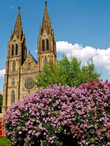 Medieval church with flowering bush in the foreground
