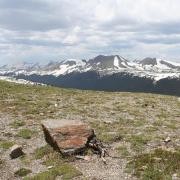 Arctic tundra with mountain landscape backdrop