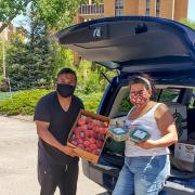 Man and woman holding boxes of fruit behind a car with it's trunk open