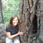 Woman stooped next to fire scarred pine tree