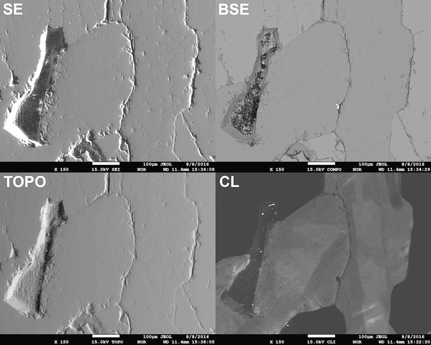 Example 5: SE, BSE, TOPO and CL imaging mode