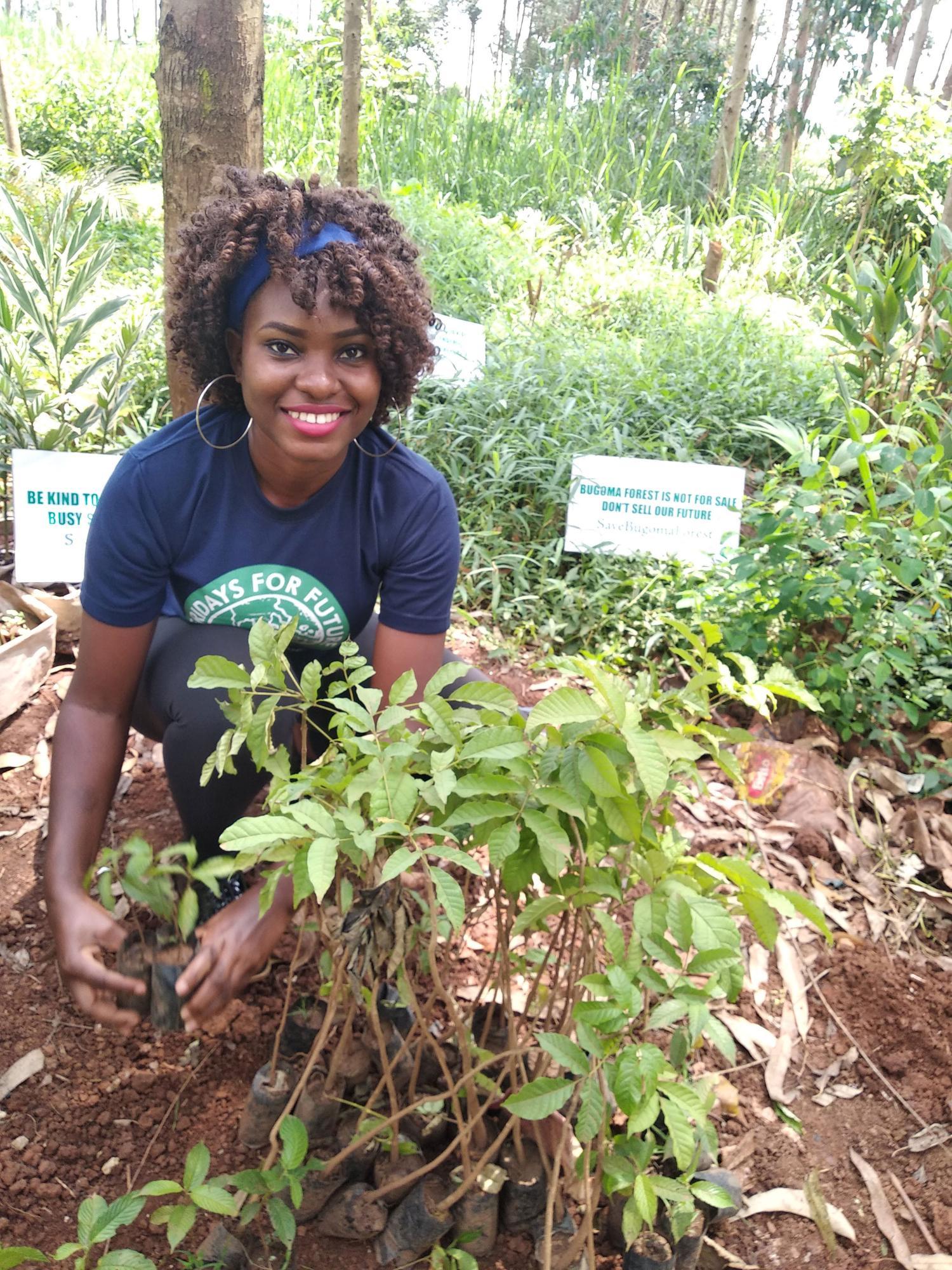 Hilda Flavia Nakabuye planting