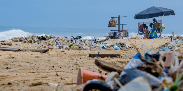 Plastic waste on shore