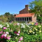 Flowers outside of the UMC