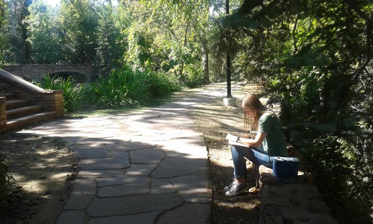 graduate student studying next to Varsity pond.