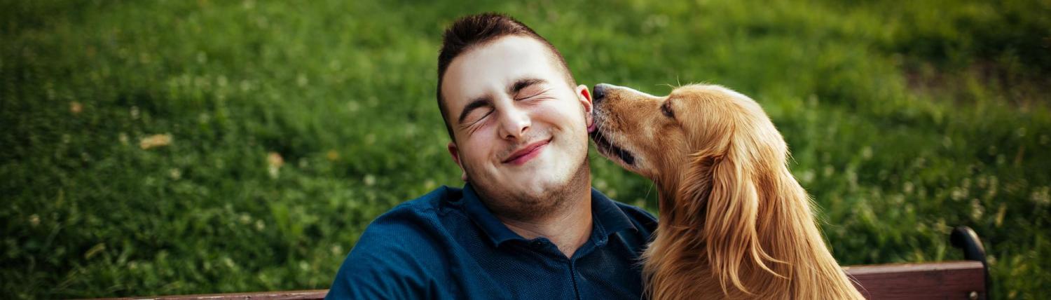 Man sitting on bench with his dog, licking his face