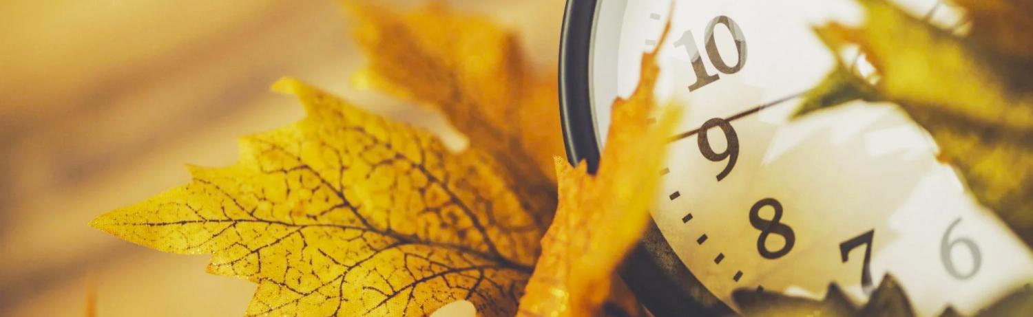 Photo of an analog clock surrounded by fall leaves.