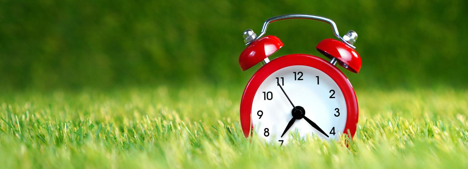 alarm clock in grass
