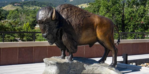 statue of ralphie the buffalo