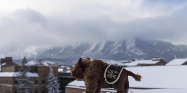Ralphie doll on top of a snowy roof