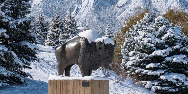 Sculpture of Ralphie, the buffalo, in the snow
