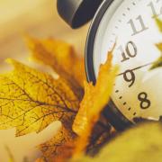Clock surrounded by colorful fall leaves.