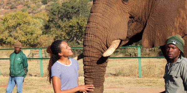 student hugging trunk of elephant