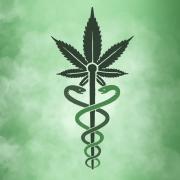 medical cannabis logo