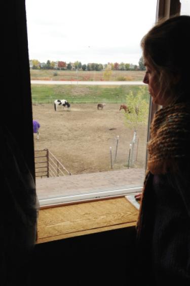 Sarah Martinelli watches over her horses in the west paddock.
