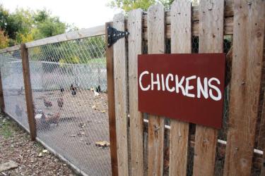 The farm's chicken house.