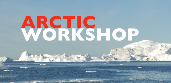 Logo of the Arctic Workshop, with Arctic in bright orange and Workshop in white