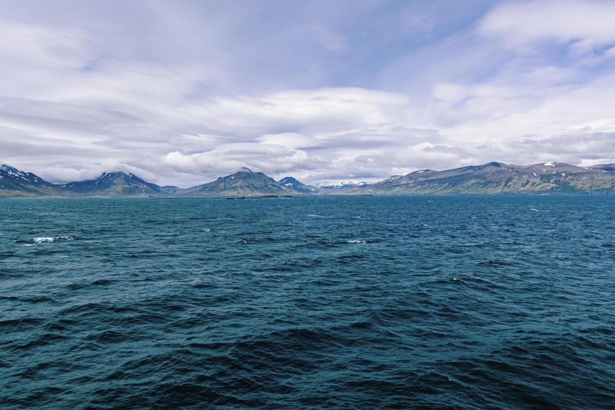Blue sky with dramatic white clouds hangs over a jagged coastline with whitecapped waves. Photo by Lloyd Pikok, UIC Science, Battelle