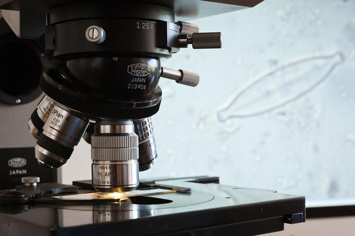 Microscope with highly magnified diatom on the computer screen
