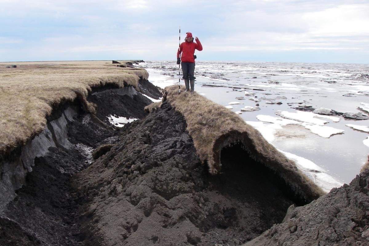 Researcher surveys a rapidly eroding coastline in Alaska